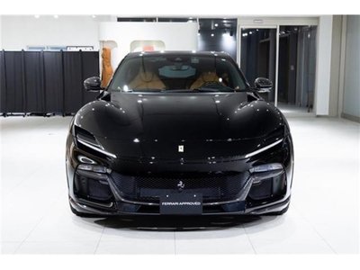 FERRARI PUROSANGUE - 3