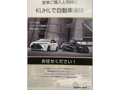 2023 Toyota ALPHARD 缩略图 60