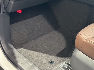 2024 Toyota LAND CRUISER 250 缩略图 77