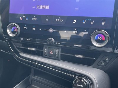 LEXUS NX - 10