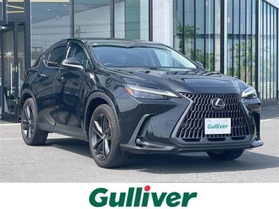 LEXUS NX - 1