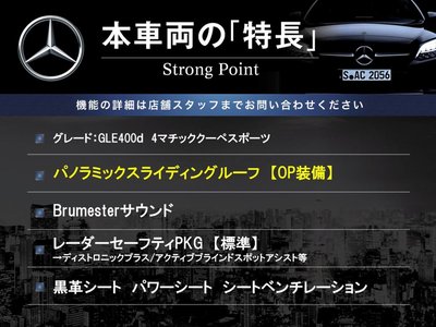 2021 Mercedes-BENZ GLE 照片 3