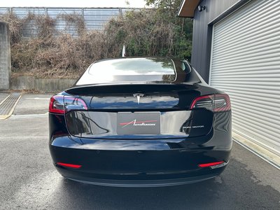 TESLA MODEL 3 - 4