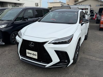 LEXUS NX - 6