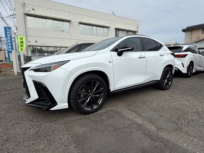 LEXUS NX - 8