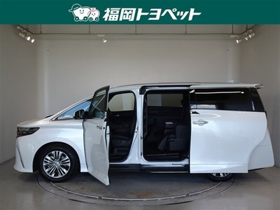 2025 Toyota ALPHARD — миниатюра 19