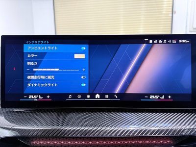 2024 BMW M2 COUPE 缩略图 70