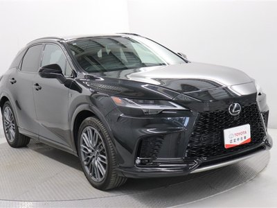 2024 Lexus RX — миниатюра 15