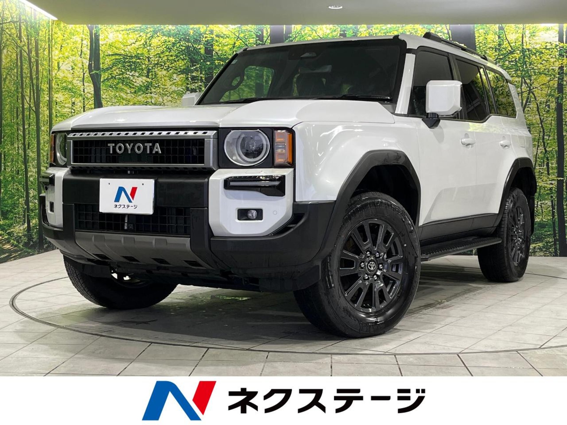 TOYOTA LAND CRUISER 250 - View 1