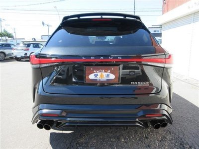 2023 Lexus RX 照片 6