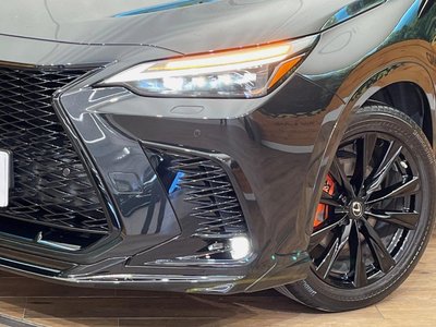 2022 Lexus NX — миниатюра 13