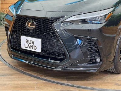 2022 Lexus NX — миниатюра 47