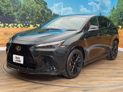 2022 Lexus NX — миниатюра 74