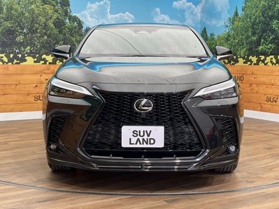 2022 Lexus NX — миниатюра 15