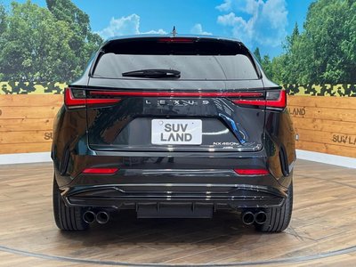 2022 Lexus NX — миниатюра 16