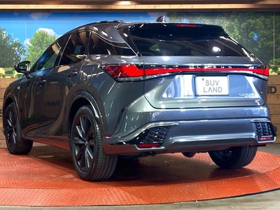 2023 Lexus RX 缩略图 30