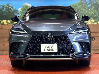 2023 Lexus RX 缩略图 14