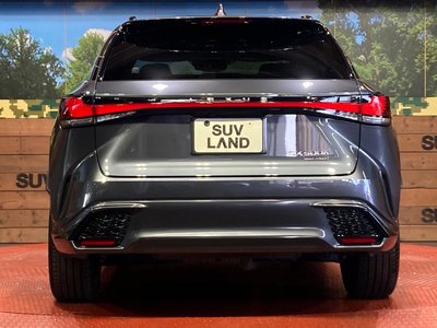 2023 Lexus RX 缩略图 15