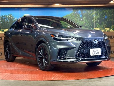2023 Lexus RX 缩略图 16
