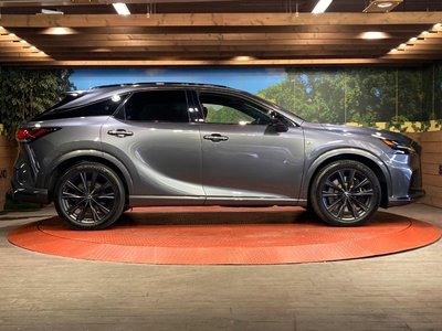 2023 Lexus RX 缩略图 29