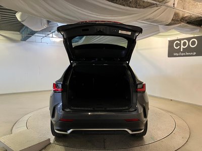 LEXUS NX - 10