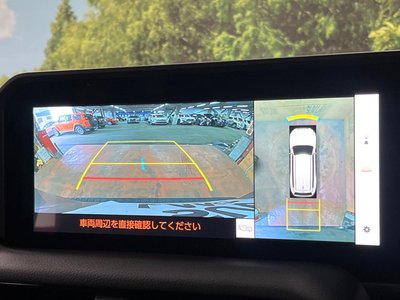 TOYOTA LAND CRUISER - 5