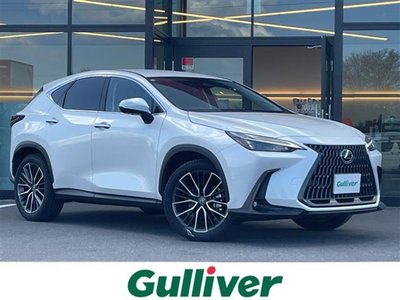 LEXUS NX - 1