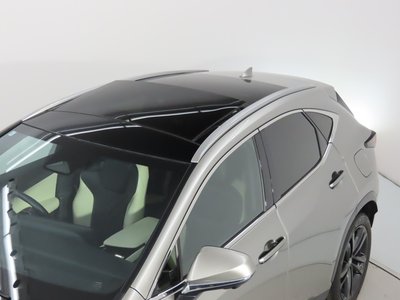 2023 Lexus NX 照片 8