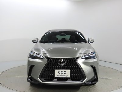2023 Lexus NX 照片 5
