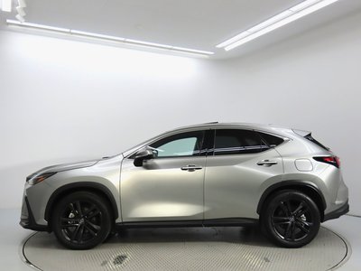 2023 Lexus NX 照片 3