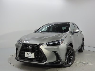 2023 Lexus NX 照片 6