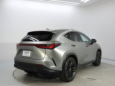 2023 Lexus NX 照片 2