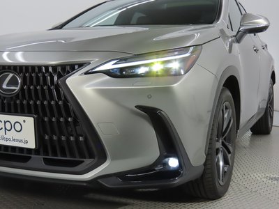 2023 Lexus NX 照片 7