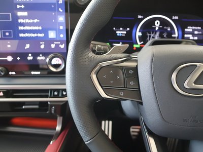 صورة مصغرة 29 لـ 2025 Lexus RX