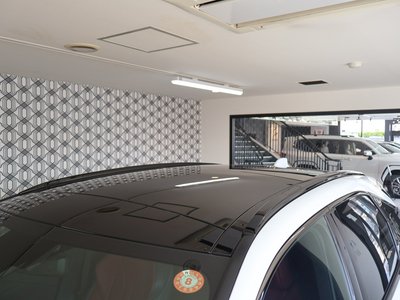 صورة مصغرة 49 لـ 2025 Lexus RX
