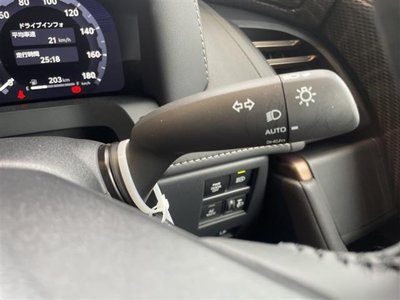 2025 Toyota ALPHARD thumbnail 25
