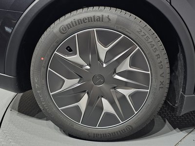 TESLA MODEL Y - 6