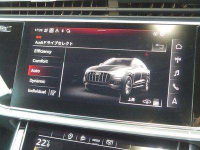 2023 AUDI Q8 — миниатюра 29