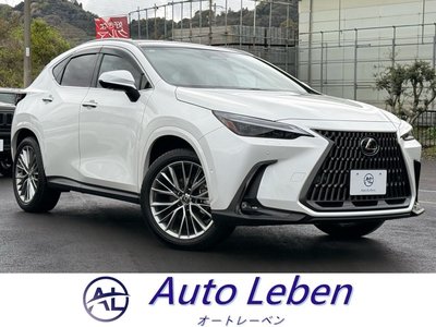 LEXUS NX - 1