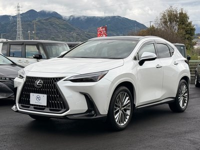 LEXUS NX - 7