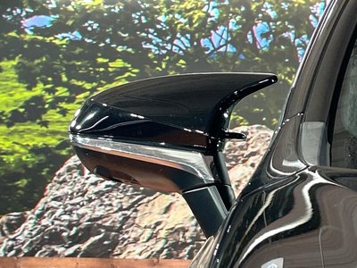 2023 Lexus NX 缩略图 43