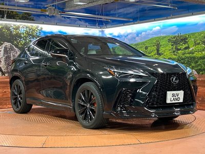 2023 Lexus NX 缩略图 16