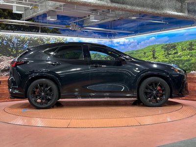 2023 Lexus NX 缩略图 39