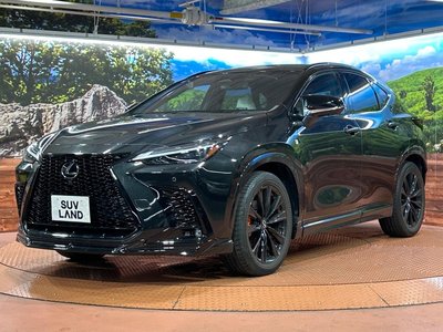 2023 Lexus NX 缩略图 38