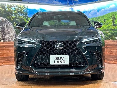 2023 Lexus NX 缩略图 14