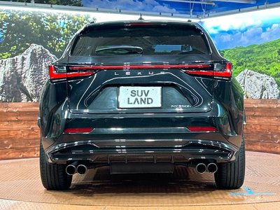 2023 Lexus NX 缩略图 15