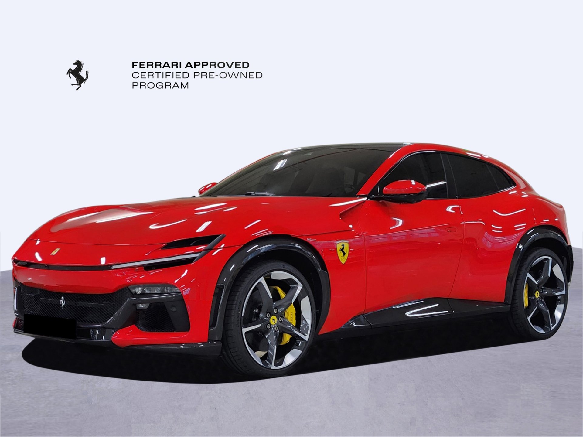 FERRARI PUROSANGUE - View 1