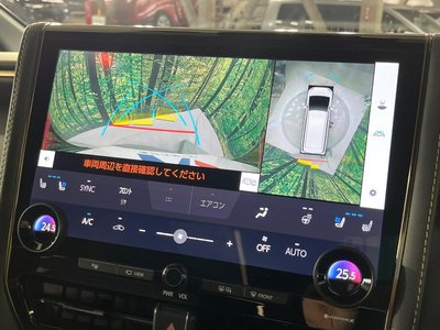 TOYOTA ALPHARD - 4