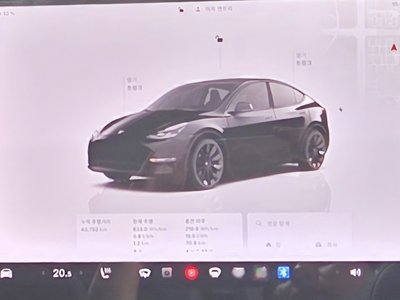 2022 Tesla MODEL Y 照片 8