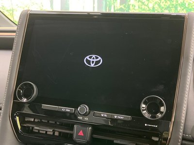 2024 TOYOTA ALPHARD 缩略图 32